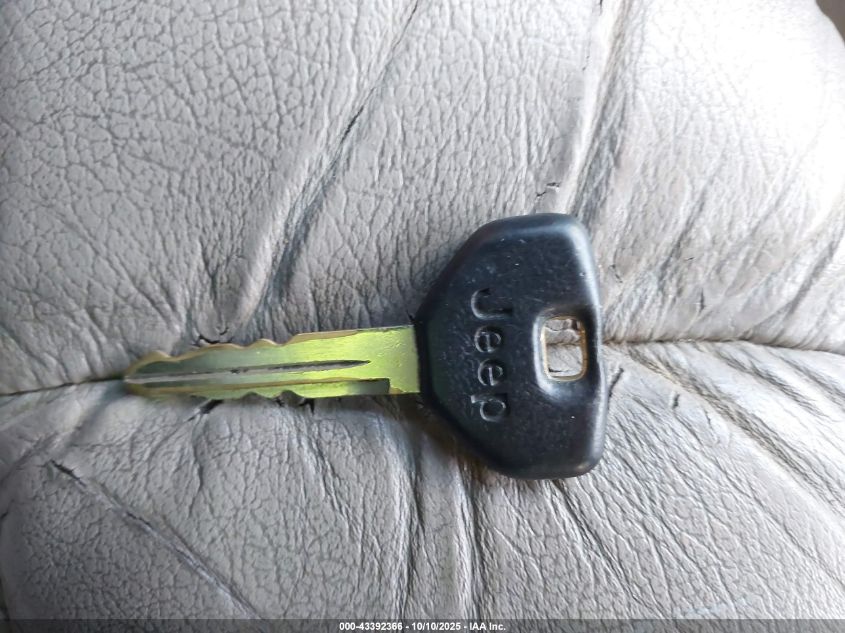 1995 Jeep Grand Cherokee Limited/Orvis VIN: 1J4GZ78S1SC543520 Lot: 43392366