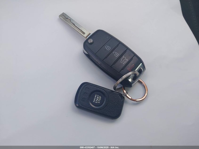 2016 Kia Sorento 2.4L Lx VIN: 5XYPG4A38GG076905 Lot: 43392407