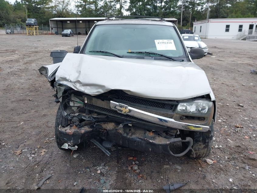 2006 Chevrolet Trailblazer Ls VIN: 1GNDS13S462172602 Lot: 43392410