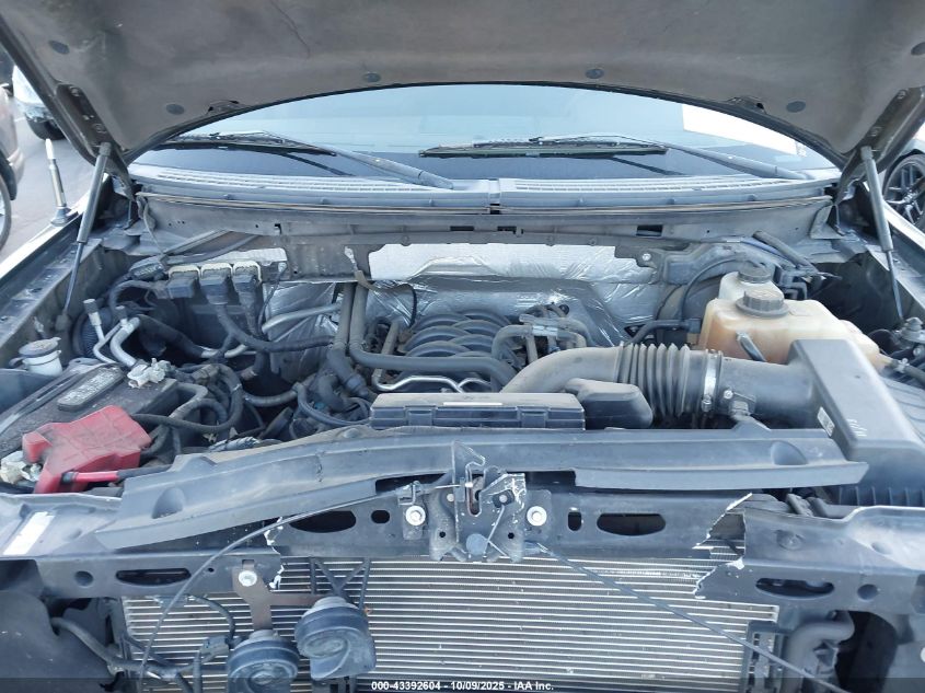 2013 Ford F-150 King Ranch VIN: 1FTFW1EF9DKE08938 Lot: 43392604