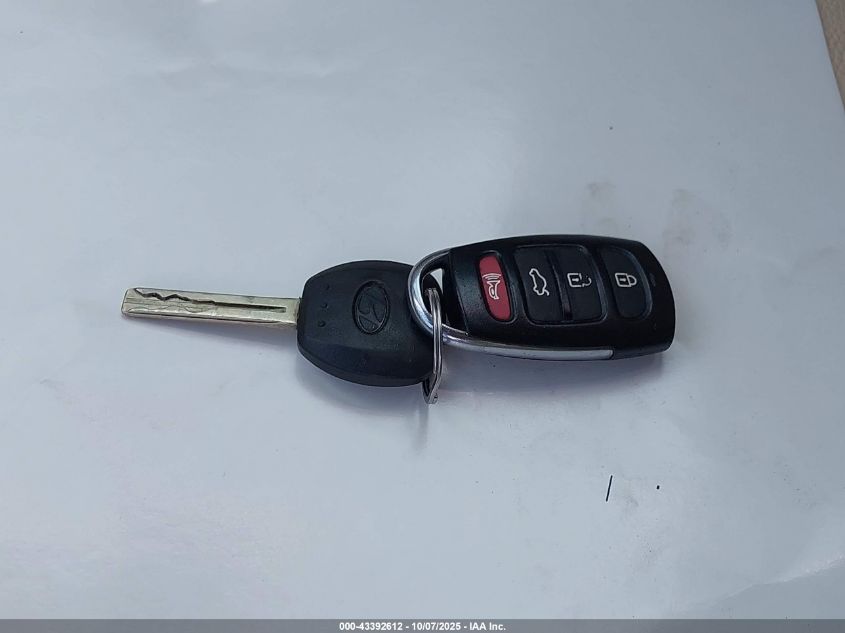 2009 Hyundai Azera Limited VIN: KMHFC46F49A356863 Lot: 43392612