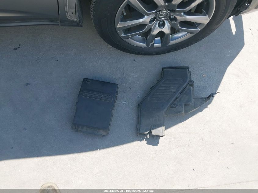 2009 Mazda Mazda3 I VIN: JM1BK32F391249809 Lot: 43392720