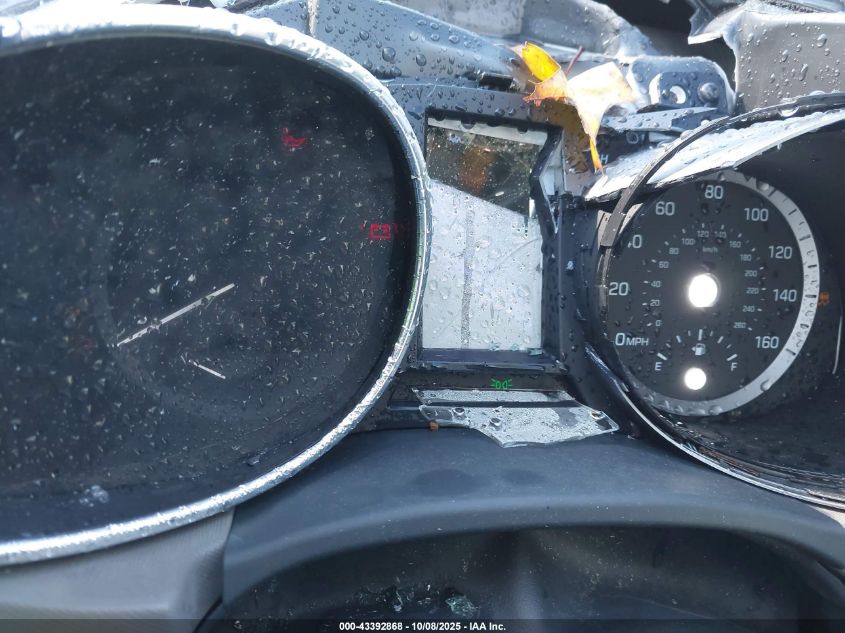 2019 Hyundai Santa Fe Xl Limited Ultimate VIN: KM8SRDHF5KU309520 Lot: 43392868