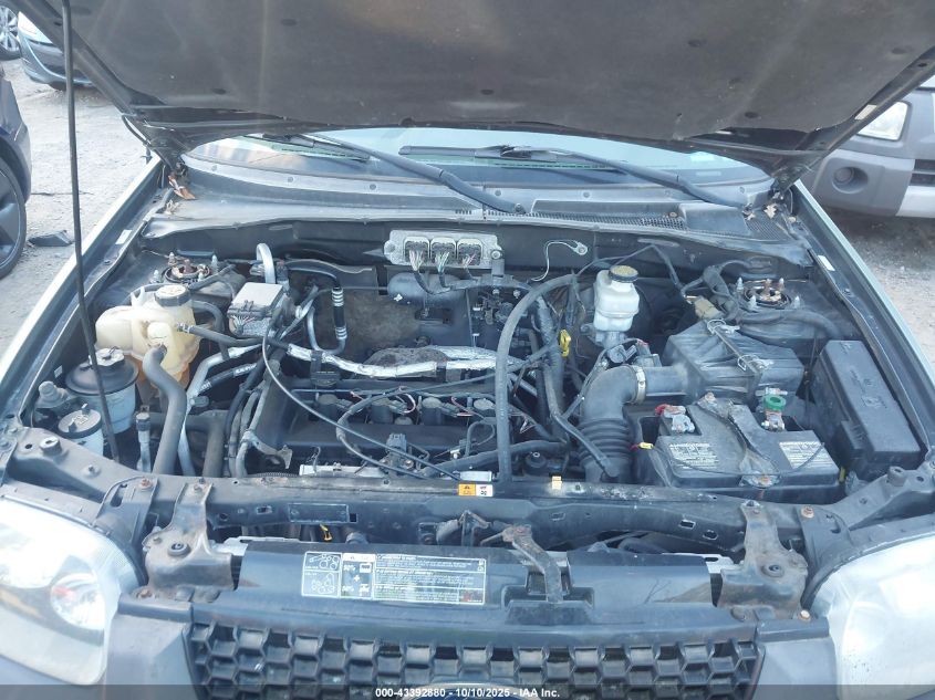 2007 Ford Escape Xlt VIN: 1FMYU03Z07KB37371 Lot: 43392880