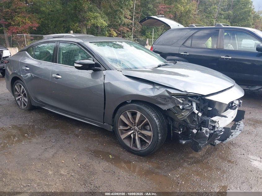 NISSAN MAXIMA 3.5 SV