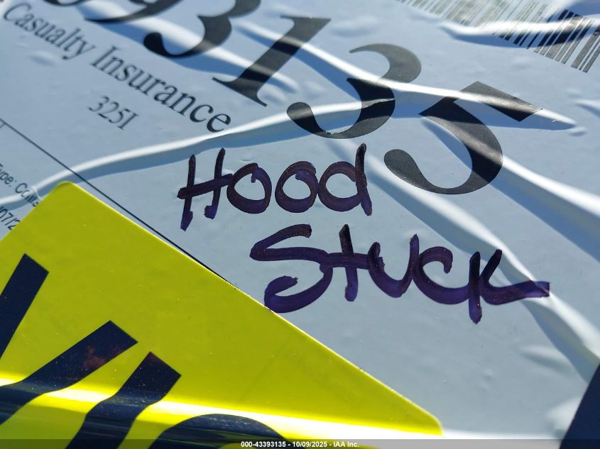 2003 BMW 325I VIN: WBAAZ33463PH34423 Lot: 43393135