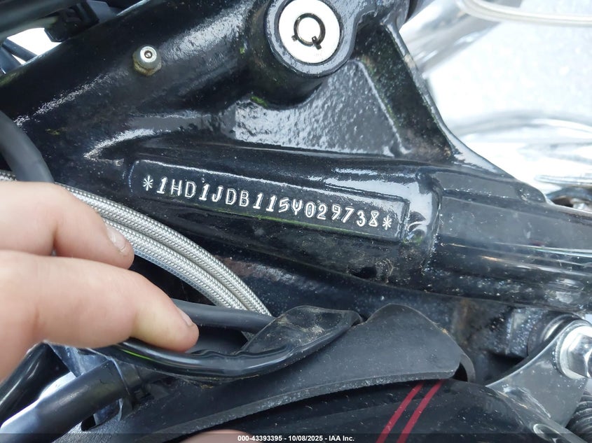 2005 HARLEY-DAVIDSON FLSTNI 1HD1JDB115Y029738