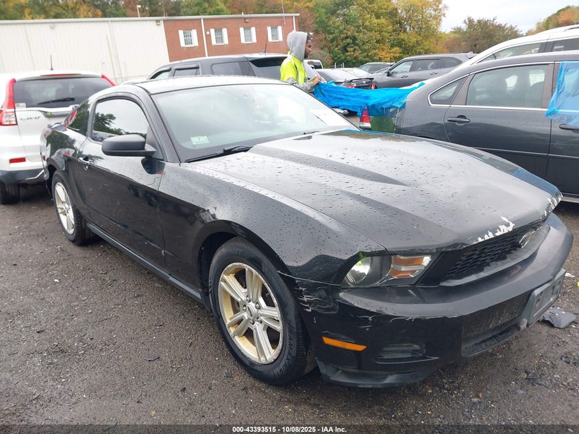 FORD MUSTANG V6