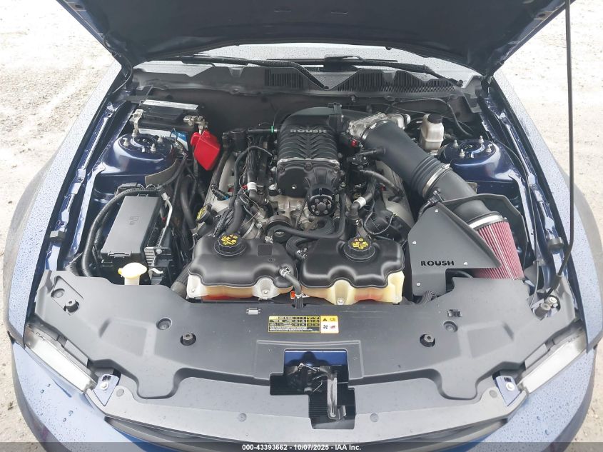 2011 Ford Mustang Gt Premium VIN: 1ZVBP8CF6B5143654 Lot: 43393662