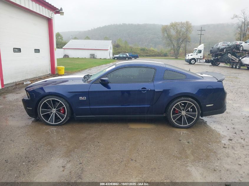 2011 Ford Mustang Gt Premium VIN: 1ZVBP8CF6B5143654 Lot: 43393662