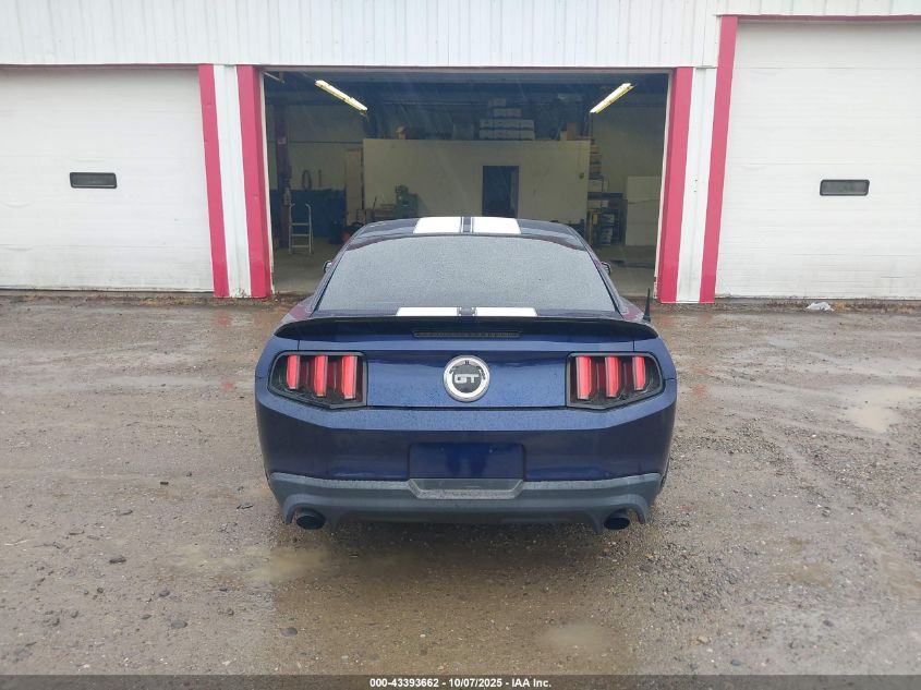 2011 Ford Mustang Gt Premium VIN: 1ZVBP8CF6B5143654 Lot: 43393662