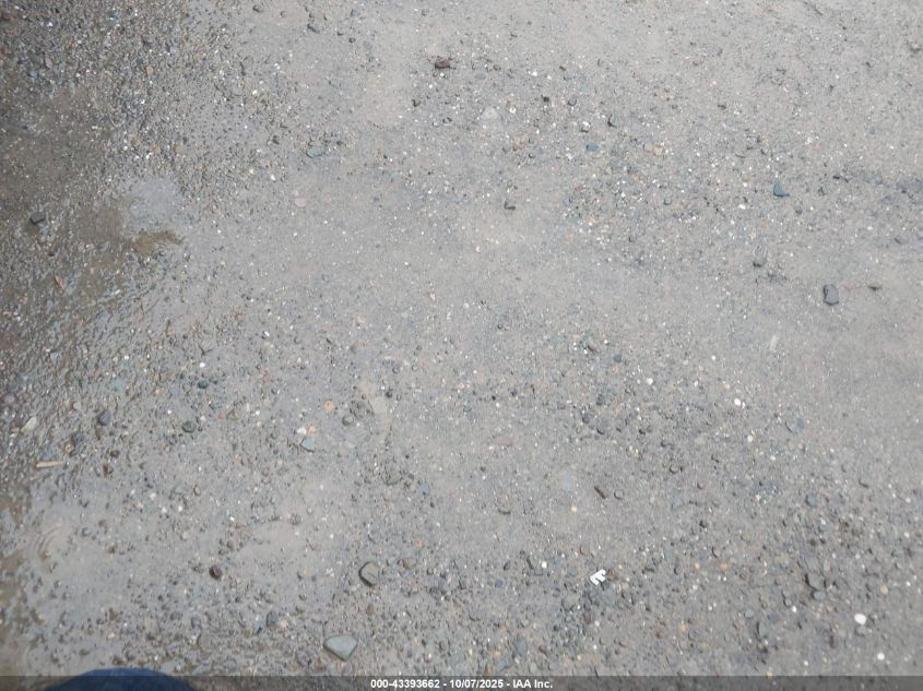 2011 Ford Mustang Gt Premium VIN: 1ZVBP8CF6B5143654 Lot: 43393662