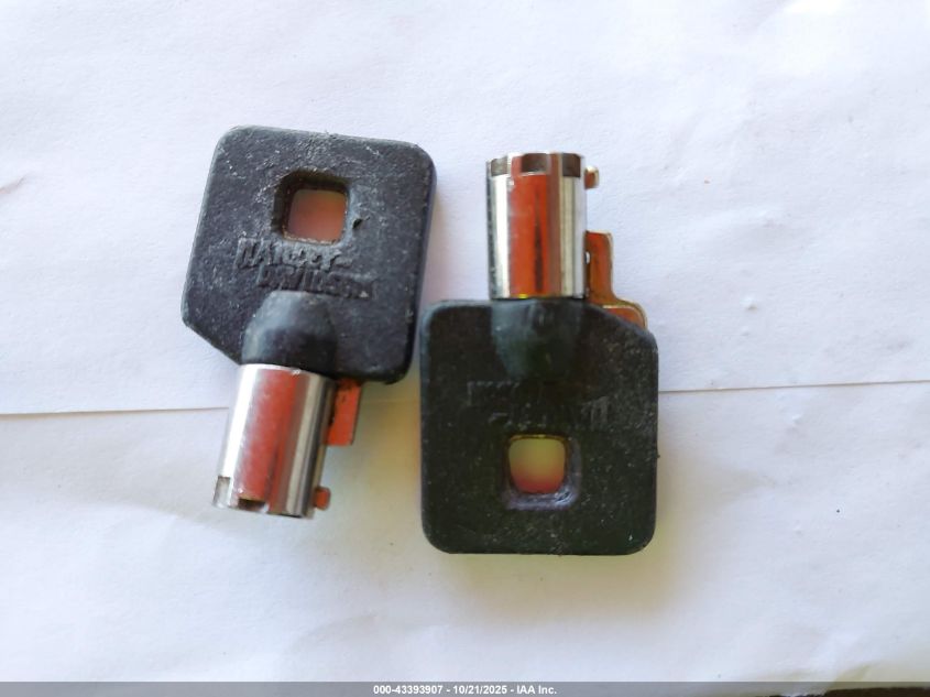 2005 Harley-Davidson Fxsti VIN: 1HD1BVB145Y044513 Lot: 43393907