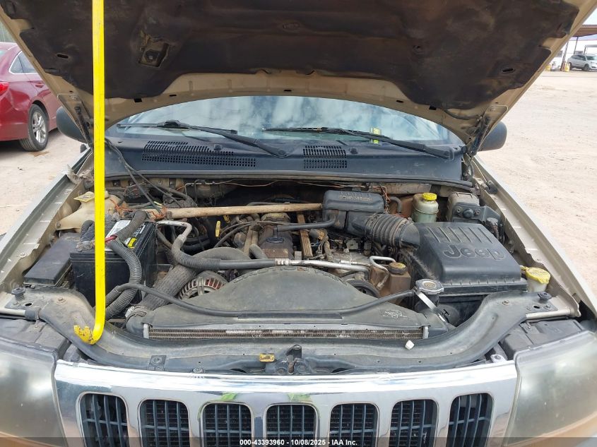 1999 Jeep Grand Cherokee Laredo VIN: 1J4G258S5XC601631 Lot: 43393960