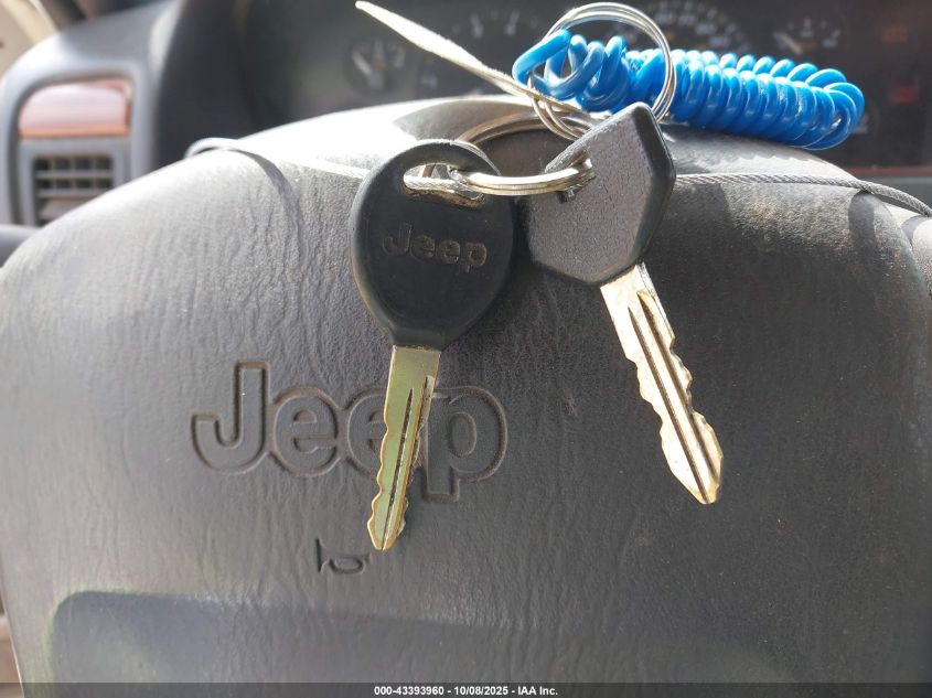 1999 Jeep Grand Cherokee Laredo VIN: 1J4G258S5XC601631 Lot: 43393960