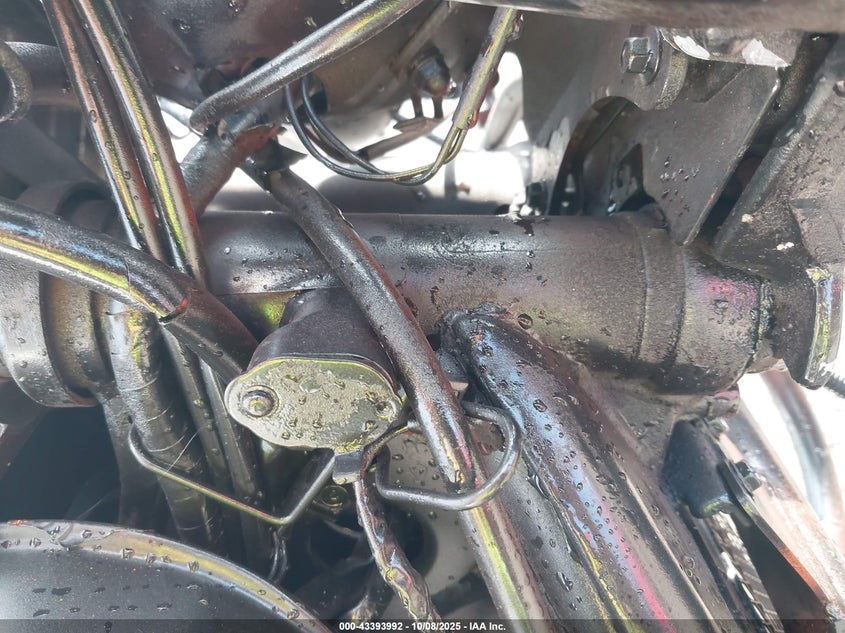 1998 Kawasaki Vn800 B VIN: JKBVNCB17WB500268 Lot: 43393992