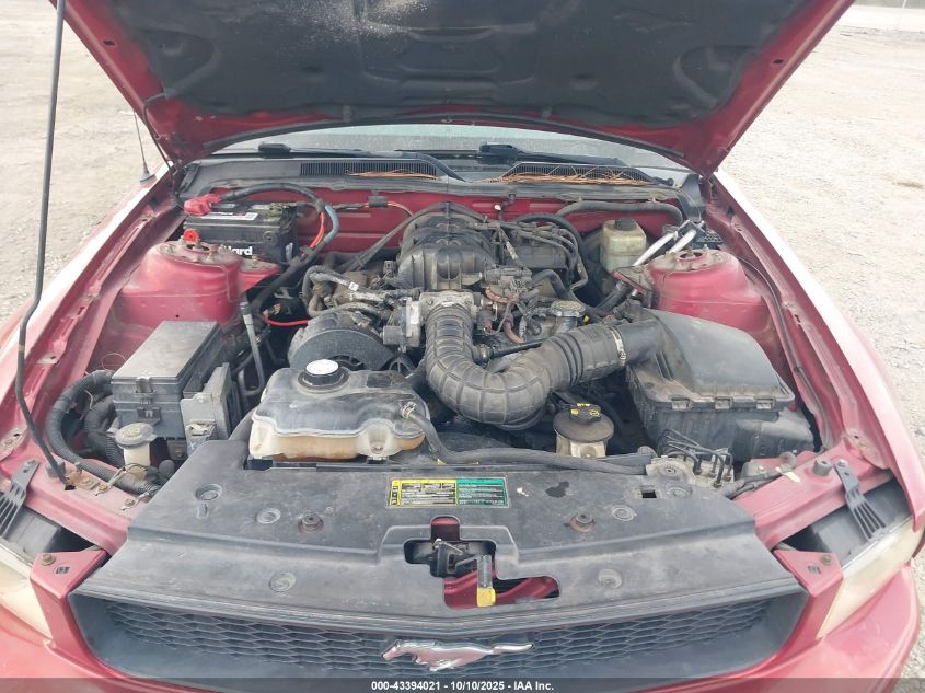 2005 Ford Mustang V6 Deluxe/V6 Premium VIN: 1ZVFT80N255206164 Lot: 43394021