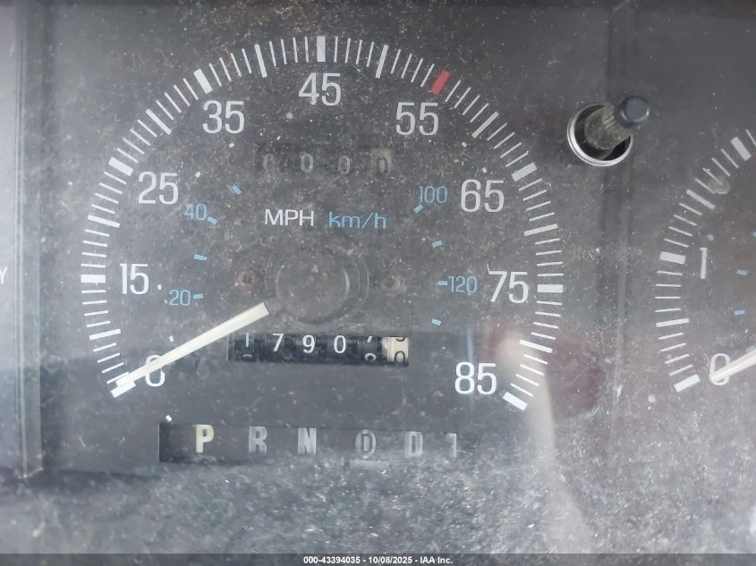 1991 Ford F150 VIN: 1FTEF14N9MLA45412 Lot: 43394035