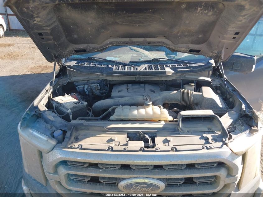 2021 Ford F-150 Xlt VIN: 1FTFW1E85MFC00355 Lot: 43394254