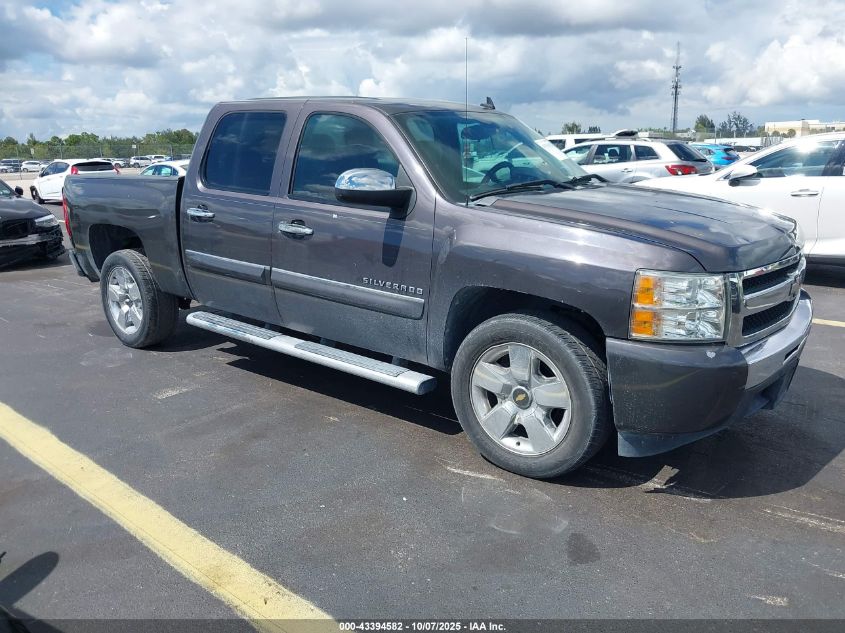 CHEVROLET SILVERADO 1500 LT