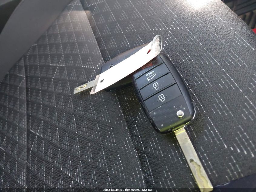 2020 Kia Rio 5-Door S VIN: 3KPA25AD5LE348210 Lot: 43394986