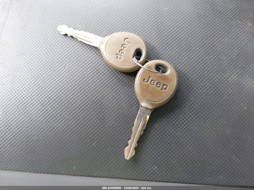 2009 Jeep Wrangler X VIN: 1J4FA24159L725282 Lot: 43395296