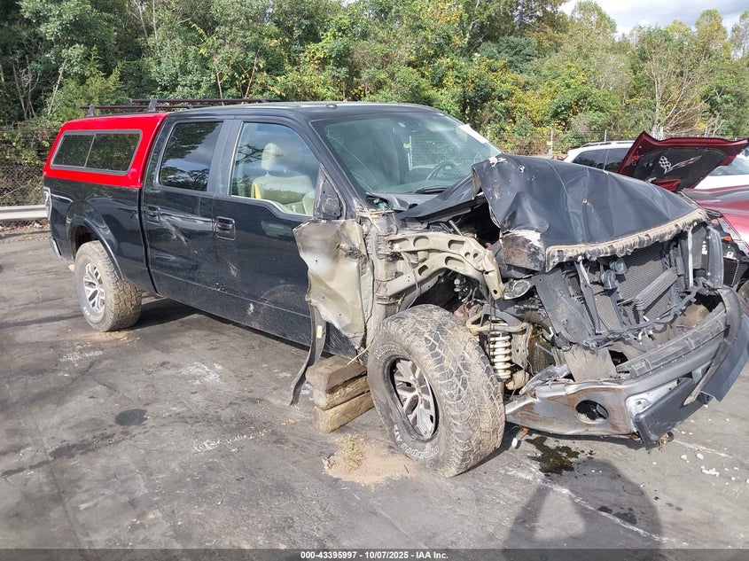 FORD F-150 FX4/HARLEY-DAVIDSON/KING RANCH/LARIAT/PLATINUM/XL/XLT