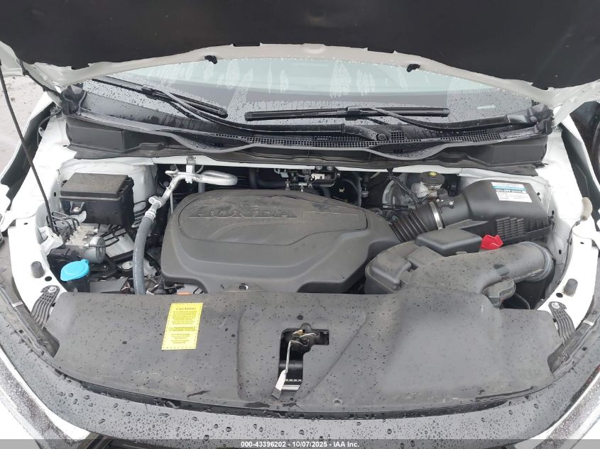 2024 Honda Odyssey Sport VIN: 5FNRL6H79RB005456 Lot: 43396202