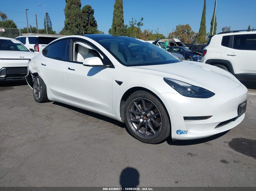 TESLA MODEL 3 STANDARD RANGE PLUS REAR-WHEEL DRIVE