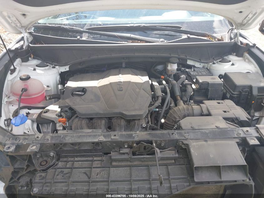 2024 Hyundai Tucson Sel VIN: 5NMJBCDE6RH300239 Lot: 43396705