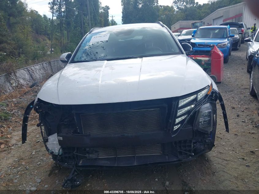 2024 Hyundai Tucson Sel VIN: 5NMJBCDE6RH300239 Lot: 43396705