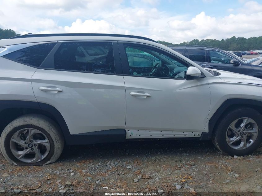 2024 Hyundai Tucson Sel VIN: 5NMJBCDE6RH300239 Lot: 43396705