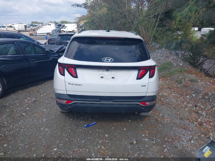 2024 Hyundai Tucson Sel VIN: 5NMJBCDE6RH300239 Lot: 43396705