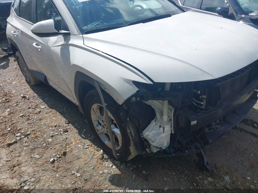 2024 Hyundai Tucson Sel VIN: 5NMJBCDE6RH300239 Lot: 43396705