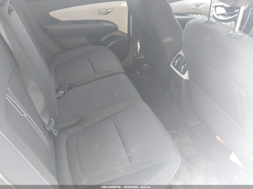 2024 Hyundai Tucson Sel VIN: 5NMJBCDE6RH300239 Lot: 43396705