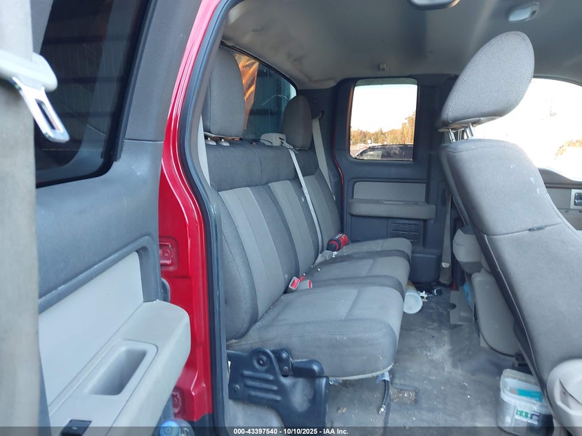 2010 Ford F-150 Stx/Xl/Xlt VIN: 1FTEX1E80AFB06002 Lot: 43397540