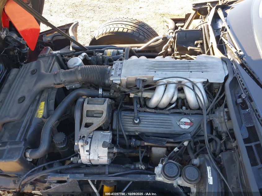 1985 Chevrolet Corvette VIN: 1G1YY0784F5106219 Lot: 43397788