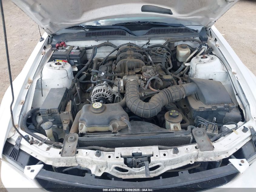 2007 Ford Mustang V6 Deluxe/V6 Premium VIN: 1ZVHT80N575317321 Lot: 43397858