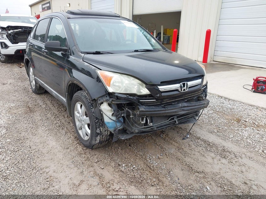 2009 Honda Cr-V Ex-L VIN: 5J6RE38789L029859 Lot: 43397998