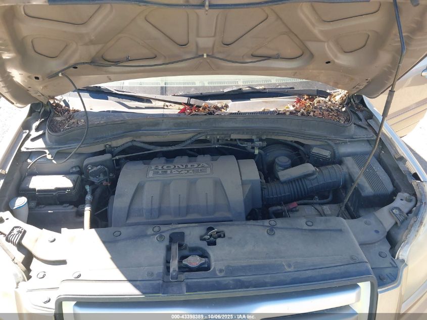 2007 Honda Pilot Ex-L VIN: 5FNYF28677B038438 Lot: 43398389