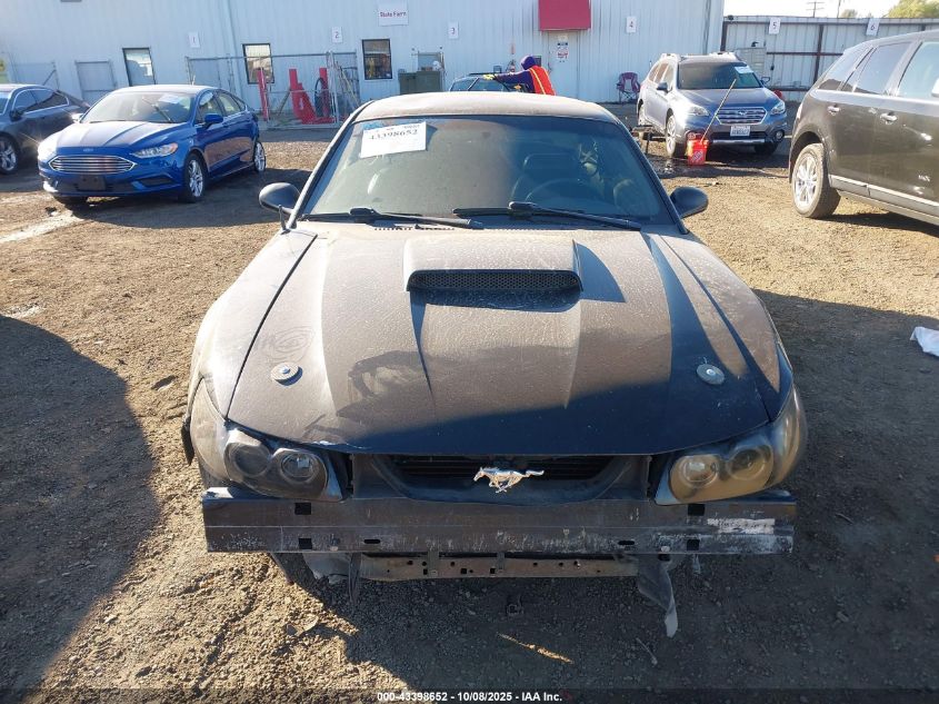 2002 Ford Mustang Gt VIN: 1FAFP42X02F219330 Lot: 43398652