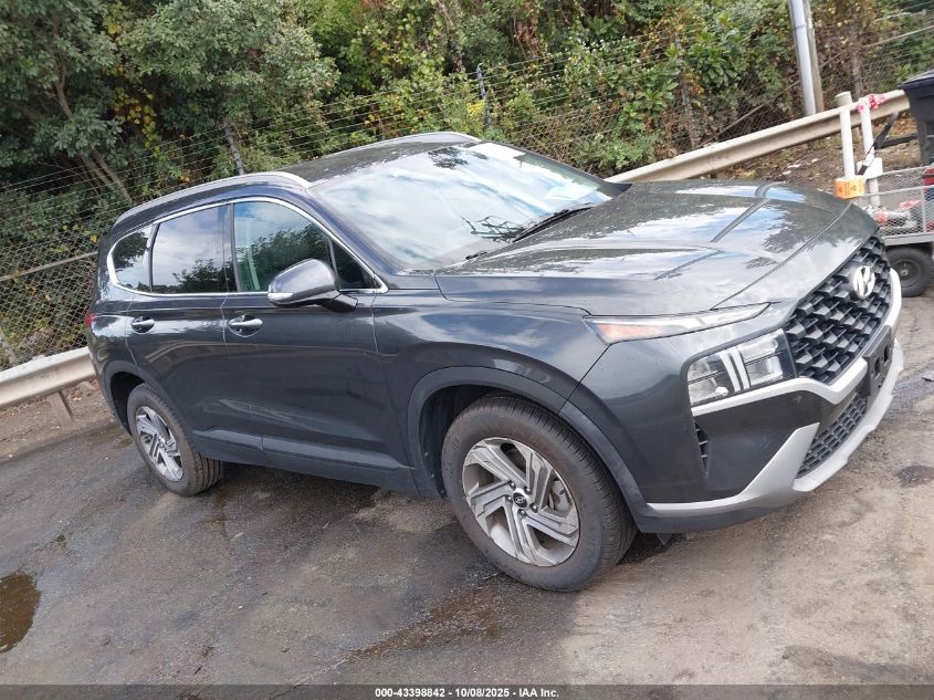 2023 Hyundai Santa Fe Sel VIN: 5NMS24AJ9PH566251 Lot: 43398842