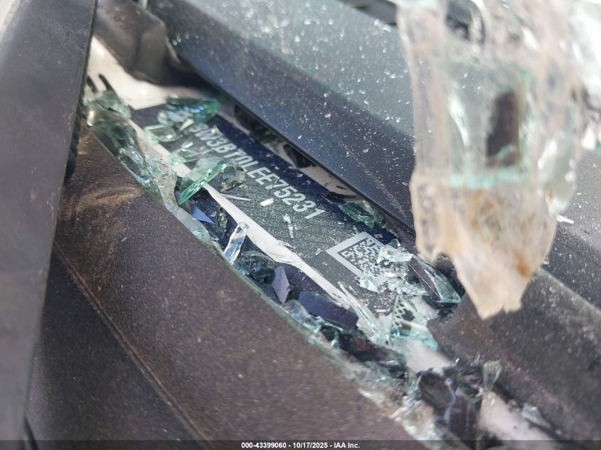 2020 Ford F-350 Platinum VIN: 1FT8W3BT0LEE75231 Lot: 43399060