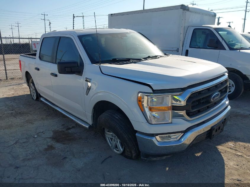 FORD F-150 XLT