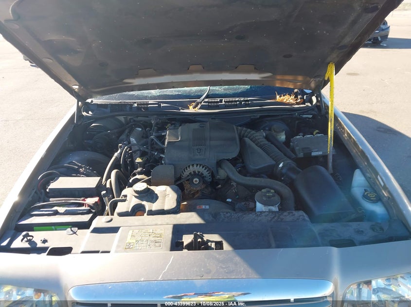 2005 Ford Crown Victoria Standard VIN: 2FAFP73W95X117153 Lot: 43399623