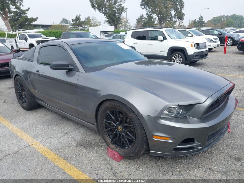 FORD MUSTANG V6
