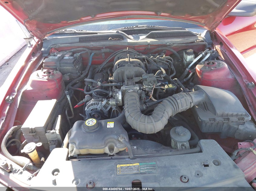 2009 Ford Mustang V6/V6 Premium VIN: 1ZVHT80N995143532 Lot: 43400704