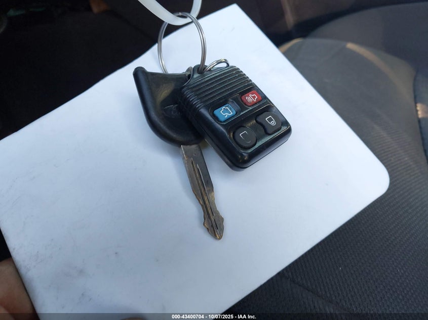 2009 Ford Mustang V6/V6 Premium VIN: 1ZVHT80N995143532 Lot: 43400704