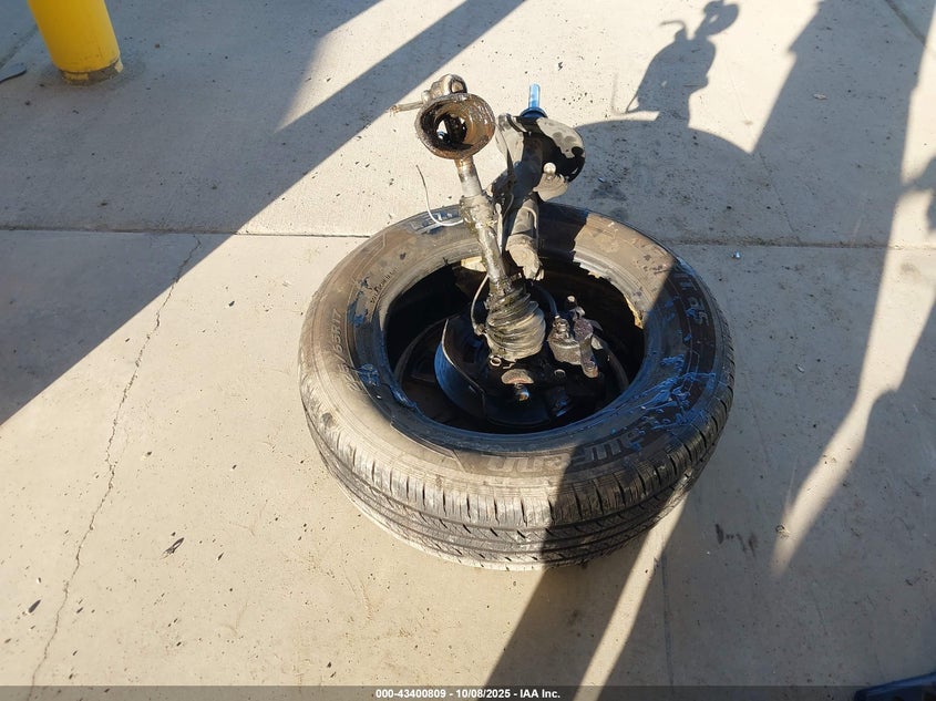 2008 Toyota Rav4 Limited VIN: JTMZD31V186054097 Lot: 43400809