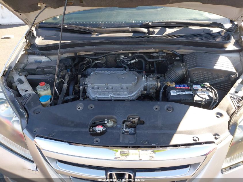 2005 Honda Odyssey Ex-L VIN: 5FNRL38685B422115 Lot: 43400828